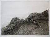 Maria Simmonds-Gooding, Clochan, Etching