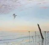 Julian Novorol, Curlew In Flight Along A Shoreline, large oil on board