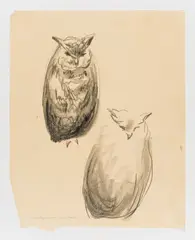 Edvard Munch, To ugler, Stift på tynt gulhvitt papir