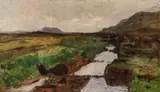 Kitty Lange Kielland, Torvmyr, Olje på lerret