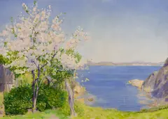 Harald Sohlberg, Blomstrende kirsebærtre (Kalviken, Kjerringvik), Olje på lerret