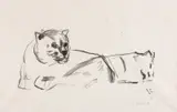 Edvard Munch, To liggende løvinner *, Litografi trykket i svart på tynt riflet japanpapir