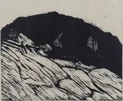 Ludvig Eikaas, Skog i Hallingdal, Tresnitt