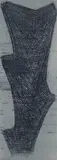 Anna-Eva Bergman, G 28-1958 Plante