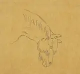 Theodor Kittelsen, Hode av Blakken, Blyant på tynt papir