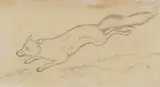 Theodor Kittelsen, Løpende rev, Blyant på tynt papir