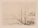 Edvard Munch, Norsk landskap, Radering trykket i svart på middels tykt gulhvitt papir