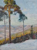 Thorolf Holmboe, Skogslandskap