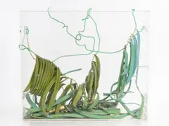 Bernadette Lambrecht, Petits pois, technique mixte, tissu gouaché, fils de coton et de fer, plexiglass