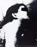 Jean Pierre Raynaud, Pyscho-collage, 1965 - 1975, technique mixte et photographie. Signé et daté en bas à droite, numéroté 15/99 en bas à gauche