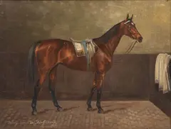 Wilhelm Westerop, Portrait de cheval, huile sur toile