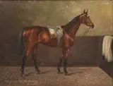 Wilhelm Westerop, Portrait de cheval, huile sur toile