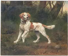 Caspar von Reth, Epagneul et sa proie, 1898, huile sur toile