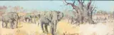 Paul Daxhelet, Eléphants dans la savane, huile sur panneau