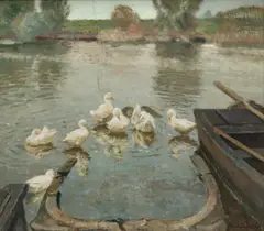 Maurice Sys, Canards se baignant, huile sur panneau