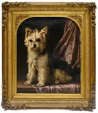 Daniël-Adolphe Roberts-Jones, Portrait de Yorkshire terrier, huile sur toile