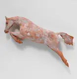 Ronny Paesbrugghe, Cheval sautant, sculpture en terre cuite