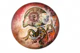 Charles Delporte, Illumination III, 1986, Huile sur panneau en tondo. Signé
