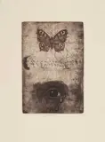 Jiří Anderle, Untitled