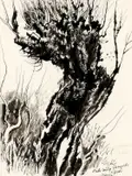 Charles Eyck, Oude wilg langs de Geul, inkt Rechtsonder gesigneerd