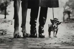 Elliott Erwitt, NEW YORK, 1974, photograph was created for an advertising assignment and exemplifies Elliott Erwitt’s char
