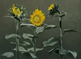 Zahran Salama, A'Baad Al-Shams (The Sunflowers), oil on canvas laid on board