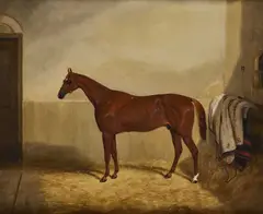 Thomas Walker Bretland, Thoroughbred Daniel O'Rourke, Winner Of The 1852 Epsom Derby, oil on canvas