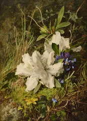 Annie Feray Mutrie, White Azaleas And Violets In A Wood, oil on canvas