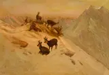 Karl W. Wenzel, Sans titre, Chamois sur un sommet enneigé, huile sur toile