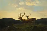 Guido Hammer, Cerfs au crépuscule, huile sur toile