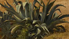 Arthur Calame, Agaves, 1865, huile sur carton entoilé