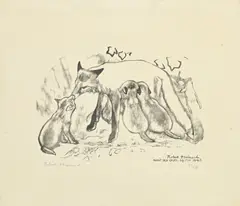 Robert Hainard, Renarde allaitante, bois gravé
