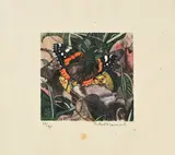 Robert Hainard, Vulcain, bois gravé
