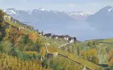 Albert Duplain, Vue du Lavaux en automne, huile sur toile