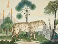 Aloys Zötl, Guépard, 1834, aquarelle et encre sur papier