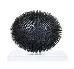 Carmen Perrin, Sans titre, sculpture en coquille d'œuf et semence de tapissier dans un emboîtage en plexiglas