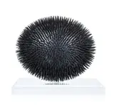 Carmen Perrin, Sans titre, sculpture en coquille d'œuf et semence de tapissier dans un emboîtage en plexiglas
