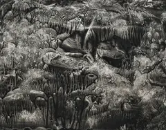 Roland Flexner, Sans titre (SN28), 2005, encre (Sumi) sur papier