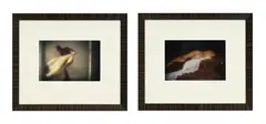David Hamilton, Nu, suite de deux photographies couleur