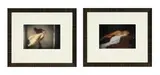 David Hamilton, Nu, suite de deux photographies couleur