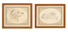 François de Poret, Portraits de labrador, 1989, paire de pastels et fusain sur papier