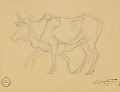 Rembrandt Bugatti, Etude d'un taureau, crayon de graphite sur papier