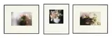 David Hamilton, Bouquets de fleurs, suite de 3 photographies couleurs