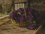 Iosif Evstafevic Krackovskij, Bouquets de violettes, 1903, huile sur toile
