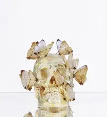 Philippe Pasqua, Vanité, sculpture en technique mixte (résine, feuilles d'or et papillons) dans un emboîtage plexiglas et une colonne effet miroir