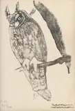 Robert Hainard, Sans titre