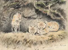 François de Poret, Renardeaux, 1992, technique mixte sur papier