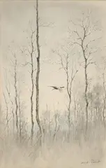 Xavier de Poret, Faisan, fusain et pastel sur papier