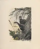 Robert Hainard, Bartavelles, 1983, bois gravé couleur