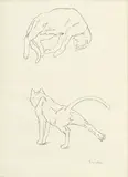 Théophile Steinlen, Chats, crayon de graphite sur papier